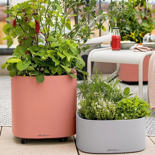 PILA Color Self-Watering Square Planter