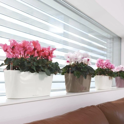 Delta Rectangular Planter