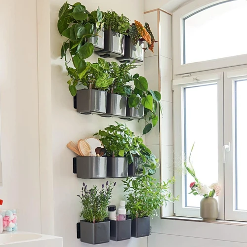 Green Wall Hanging Planters