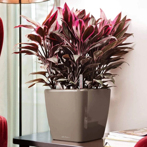 Quadro Premium LS Square Planter