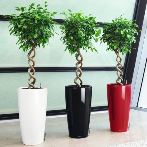 Rondo Premium Tall Round Planter