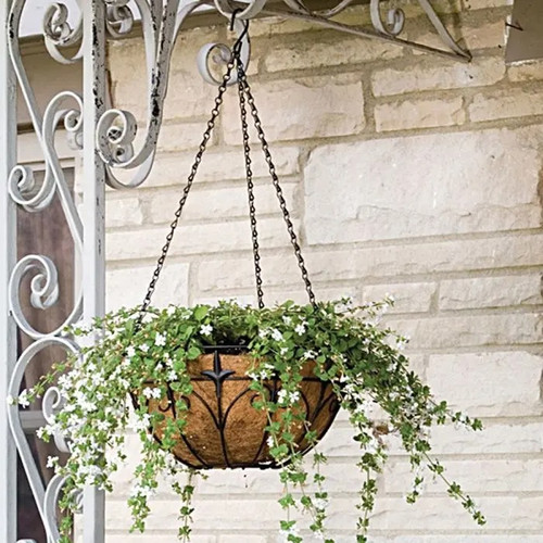 small hanging planter Small Bubble Cubby Plant Shelf, Wall Hanging Plant Shelf main image 0