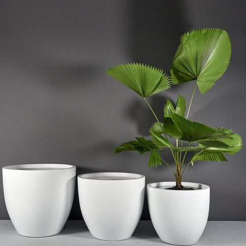 Wannsee Extra Large Round Planters - Jay Scotts | Plant Addicts