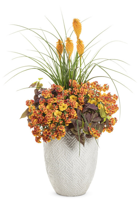 Pyromania_Orange_Blaze_Red_Hot