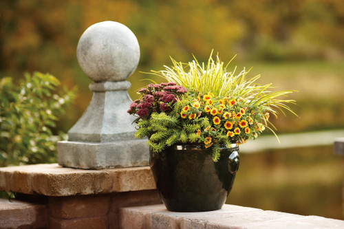 planters cement Square Concrete Planter main image 0