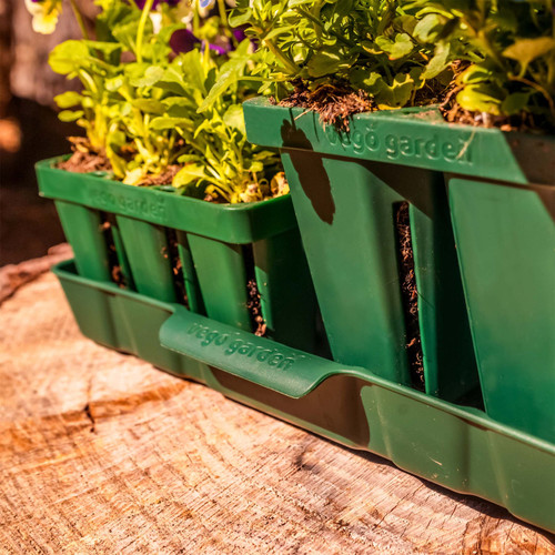 10" X 20" Seedling Bottom Watering Trays | Plant Addicts