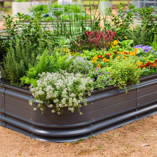 10 in 1 Novel Metal Raised Garden Bed Kit | Plant Addicts
