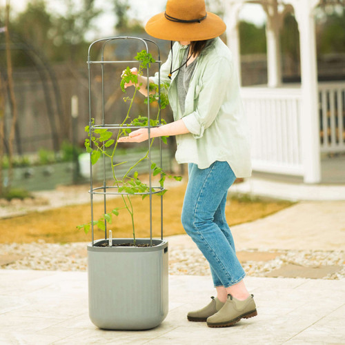 decorative succulent pots Wood Planter Comes With Live Succulent | Real Succulent Plant