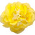 Double Delight Primrose Begonia Flower Petals