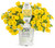 Superbells® Yellow Calibrachoa in Proven Winners Pot