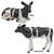 Daisy and Country Boy Cow Statue Collection