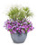 Supertunia Vista® Jazzberry™ Petunia combo