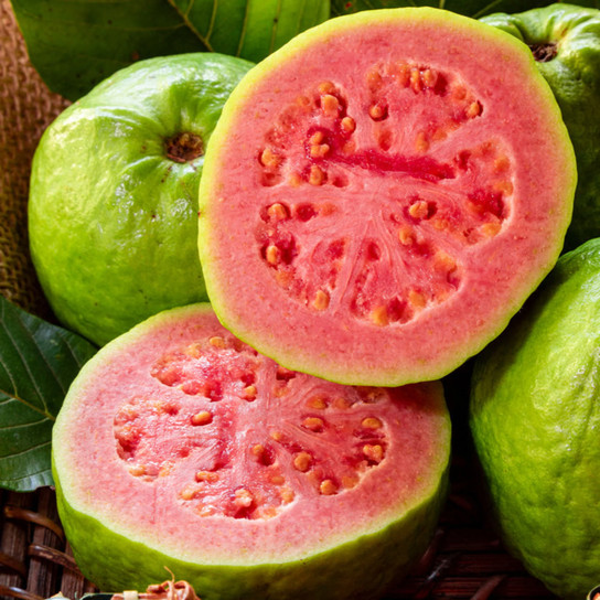 Ruby Supreme Guava Tree Slice