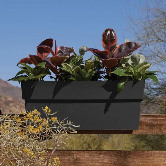 Flower Box planter with lively plant