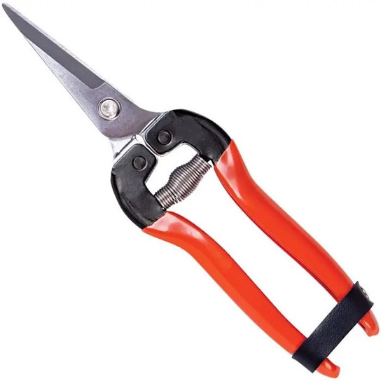 Shears needle nose hand shears
