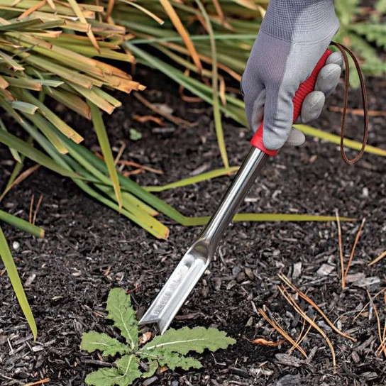 Weeder stainless steel handle closeup