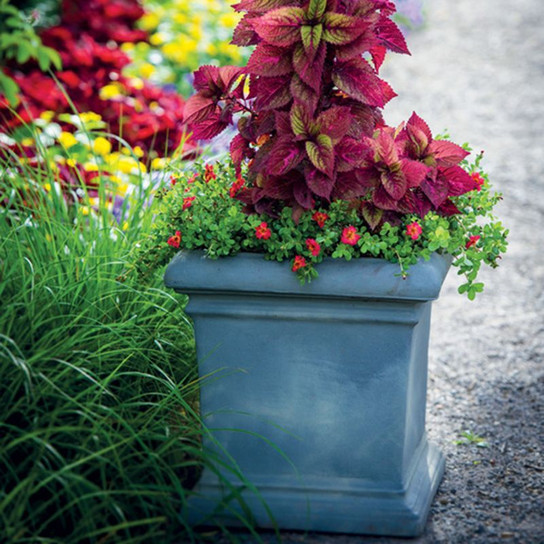 Dorchester Square Planter With Plants