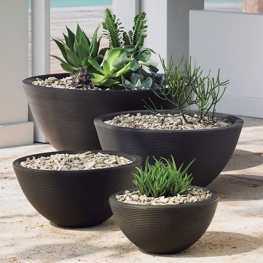 Delano Bowl Planter with plants