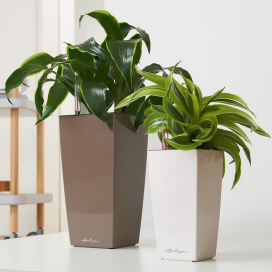 Cubi Square Planter In Different Sizes and Colors