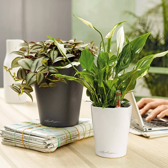 DELTINI Round Planters