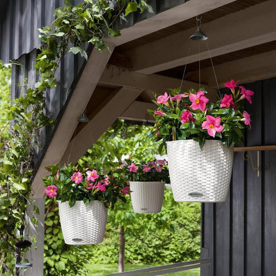 Nido Cottage Round Hanging Planters on the Overhang