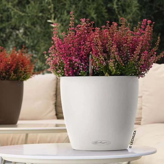 CLASSICO Color LS Self-Watering Round Planter