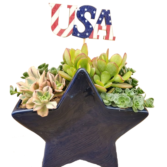 Glossy Blue Star