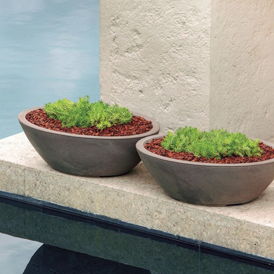 Delano Oval Bowl Planters with plants