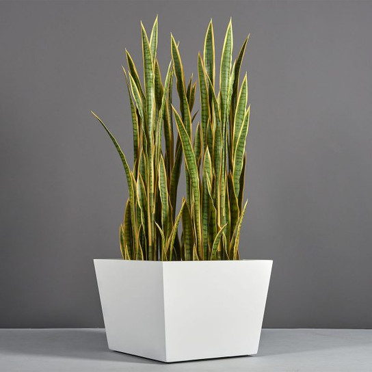Bergen Tapered Square Planter with plants