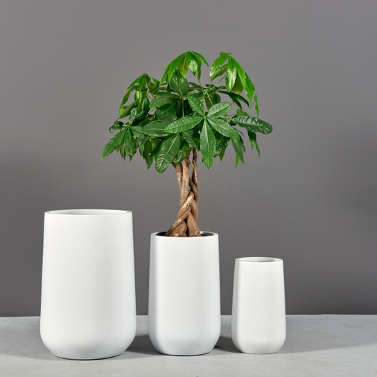 Hayden Tapered Round Planters with plants