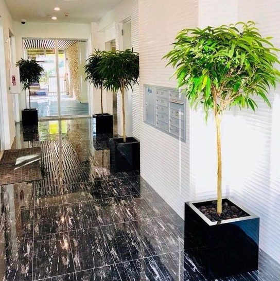Montroy Cube Planters - Jay Scotts | Plant Addicts