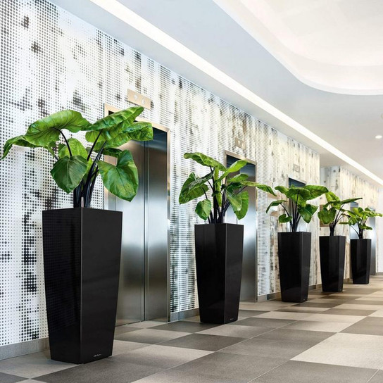 Commercial Cubico Alto Tall Square Planters Indoors
