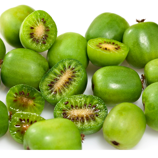 Issai Mini-Kiwi Fruit Close Up