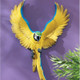 Phineas the Flapping Macaw Bird Wall Sculpture