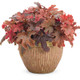 Fun and Games Red Rover Foamy Bells with Red Foliage in Container