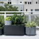 Mod Planter Collection