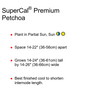 SuperCal® Premium Caramel Yellow Petchoa Care Instructions