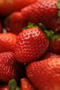 All Star Strawberry close up