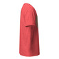 It's DeliciOsa Not DeliciosA T-Shirt - Red Triblend - Right Side View