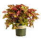 Marmalade Heuchera Plant Pot