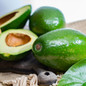Cold Hardy Avocado ripe fruit