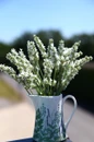 Cut white lavender flower arrangement