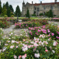 Formal garden with roses in bloom