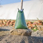 Tree Watering Bag around young tree