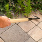 Cape Cod weeder between pavers