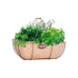 Rustic Herb Basket with Burlap Liner white background