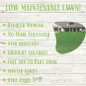 Micro Clover low maintenance lawn