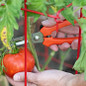Leonard Planting Combo Kit CUTTING TOMATO