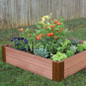 Tomato plants in raised garden bed