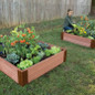 Tomato raised bed with trellis